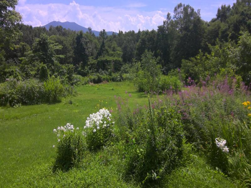 Lodge Amenouo image