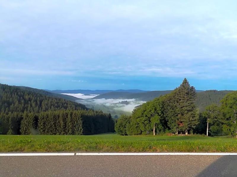 Schwarzwaldgasthaus Salenhof image