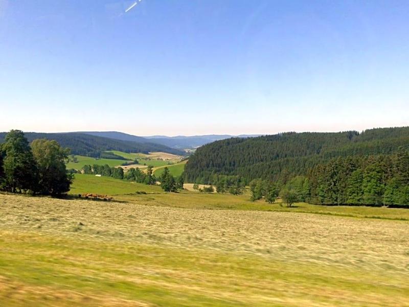 Schwarzwaldgasthaus Salenhof image