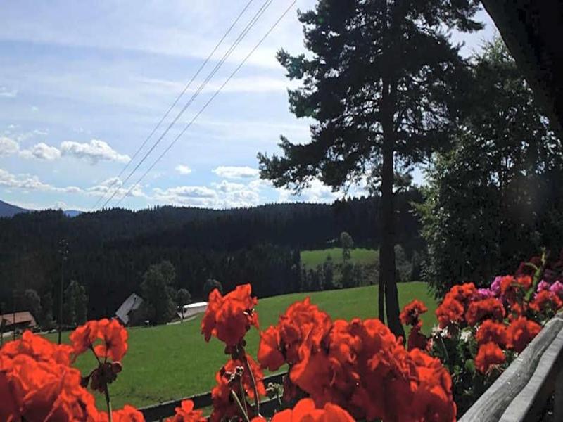 Schwarzwaldgasthaus Salenhof image