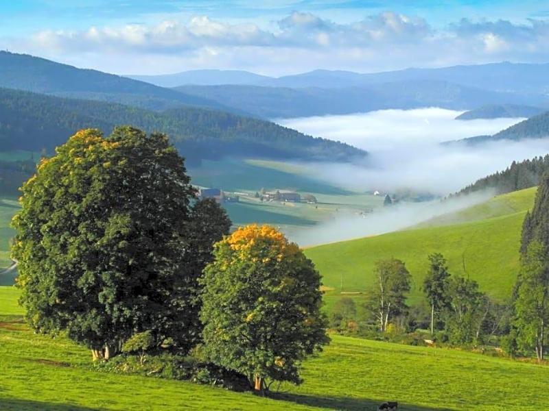 Schwarzwaldgasthaus Salenhof image