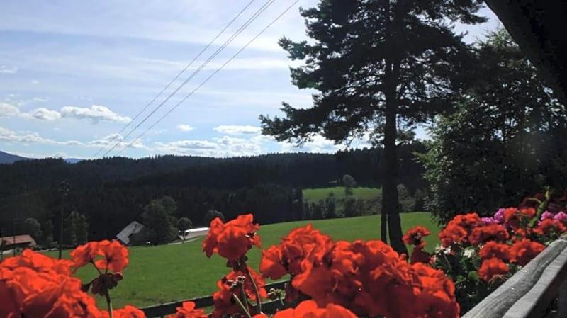 Schwarzwaldgasthaus Salenhof image
