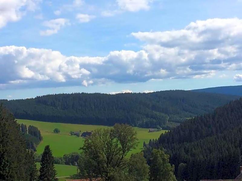 Schwarzwaldgasthaus Salenhof image