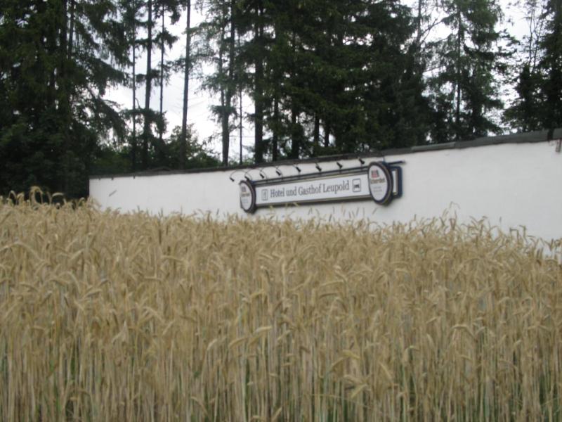 Gasthof Pension Leupold image