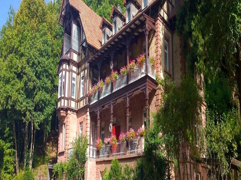 Hotel Luise image