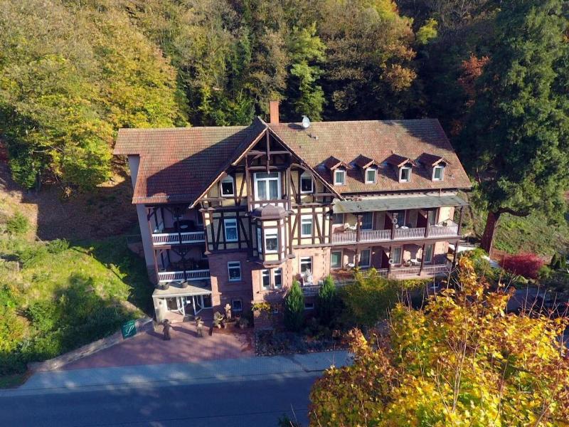 Hotel Luise image