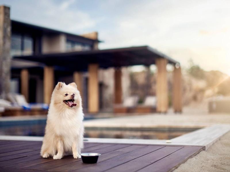 Residences at Zadun, A Ritz-Carlton Reserve image