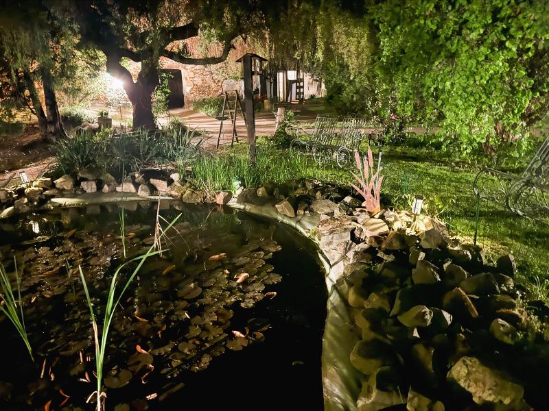 Harzhotel Warnstedter Krug image