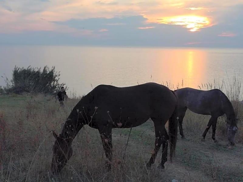 Hotel Donna Carmela Sede Unica A Sciacca image