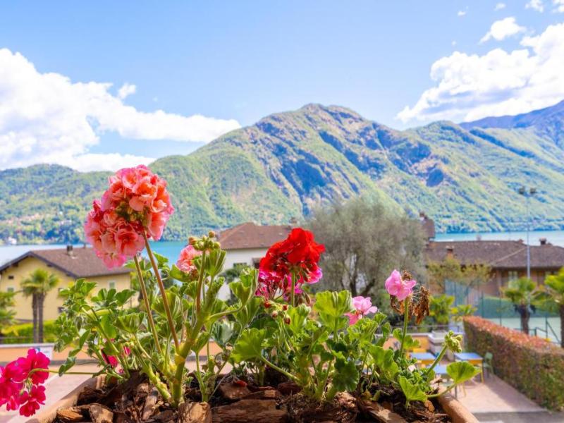Hotel Villa Edy image
