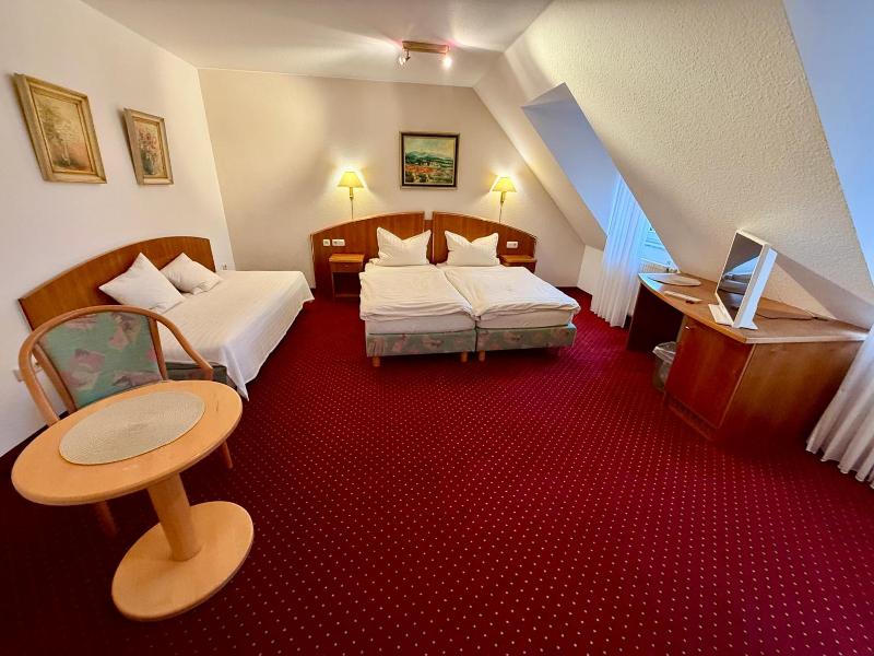 Landhotel Garni Am Mv Hlenwv Rth image