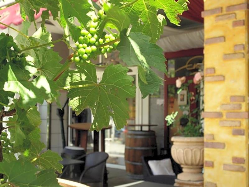 Hotel Ristorante La Terrazza image