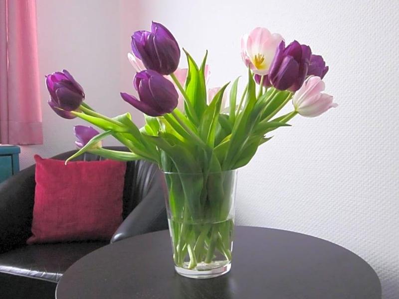Hotel Anlage Heidelberg image
