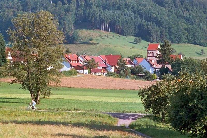 Landgasthof Ochsen image