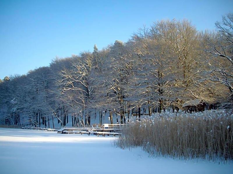 Seehotel Ichlim image