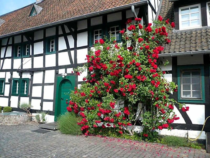 Falderhof image
