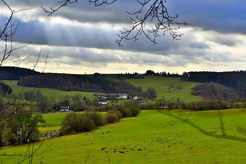Landgasthof Tv Nnes image