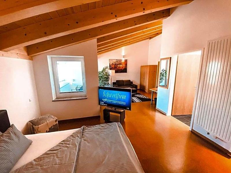 Hotel Schwertfirm image