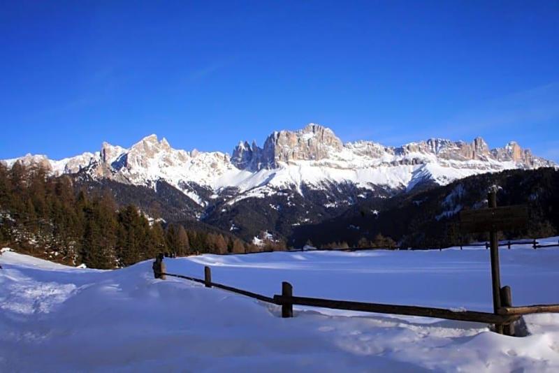 Gasthof Edelweiss image