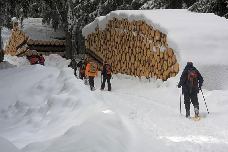 Gasthof Edelweiss image