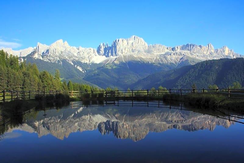 Gasthof Edelweiss image