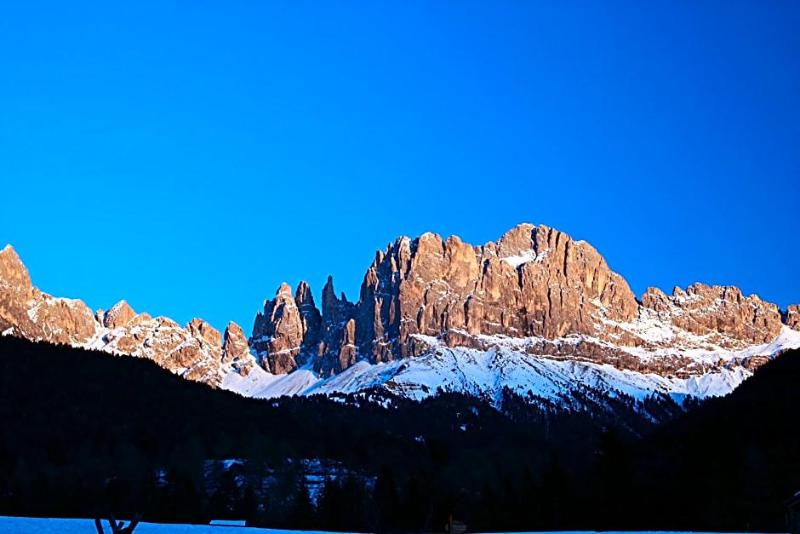 Gasthof Edelweiss image