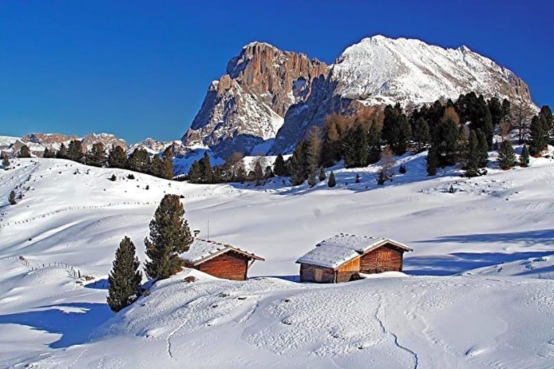 Gasthof Edelweiss image