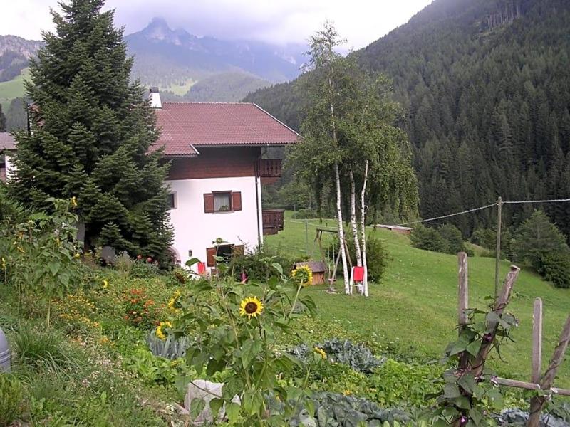 Gasthof Edelweiss image