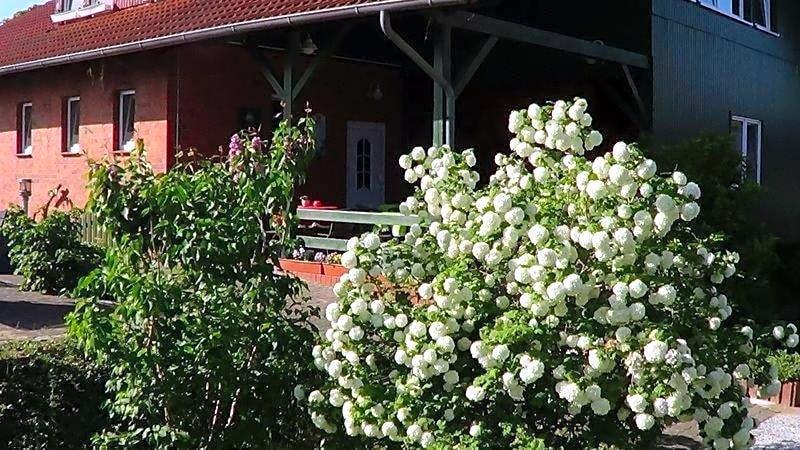 Hotel Marianne Und Restaurant Kiek In image