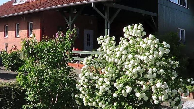 Hotel Marianne Und Restaurant Kiek In image