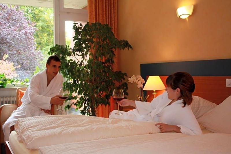 Hotel Scholz image