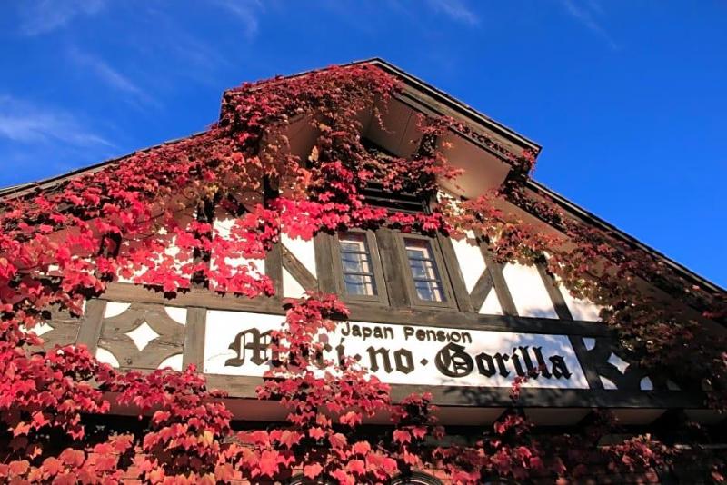 Country Inn Mori No Gorilla image