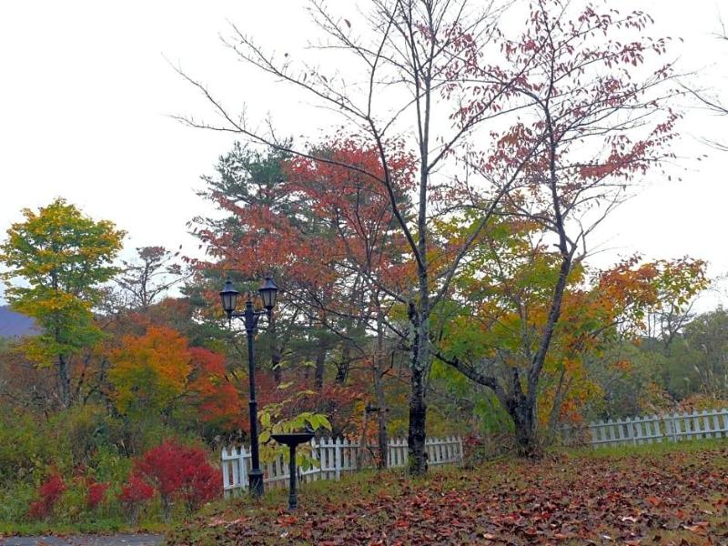 Country Inn Mori No Gorilla image