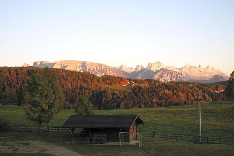 Gasthof Mesnerwirt image