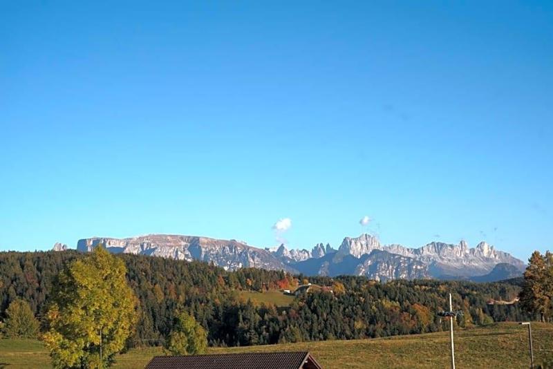 Gasthof Mesnerwirt image