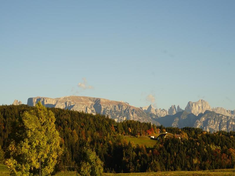 Gasthof Mesnerwirt image