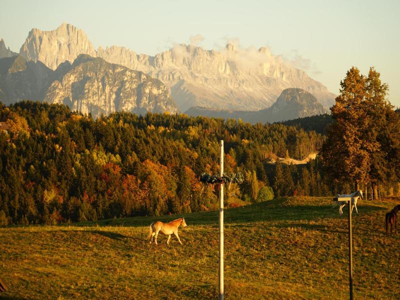 Gasthof Mesnerwirt image