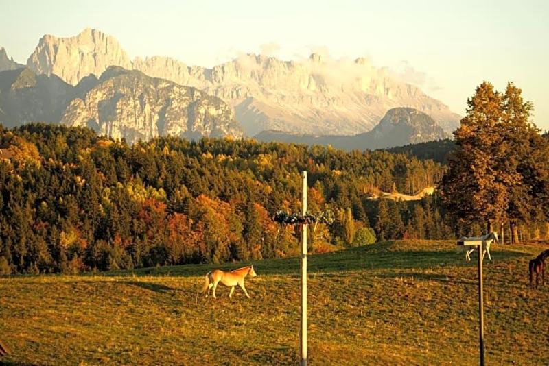 Gasthof Mesnerwirt image