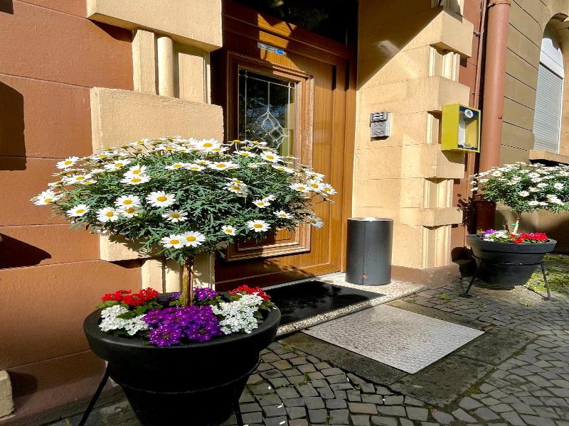 Hotel Antoni image