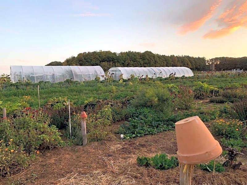 Lindengut Biohotel image