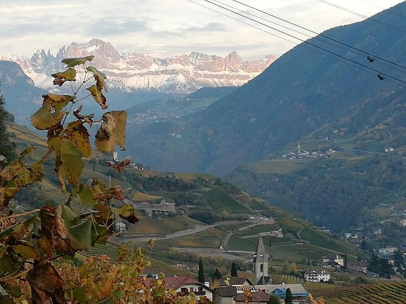 La Briosa image