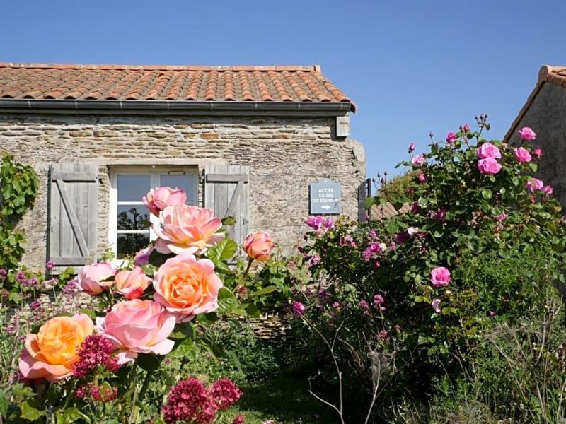 Vaco Domaine La Fontaine image
