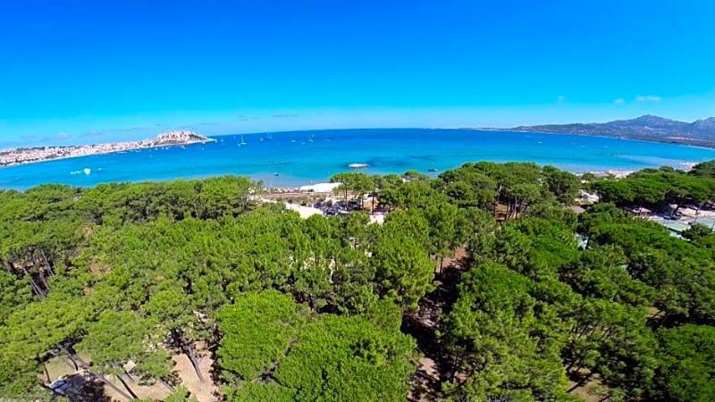 Camping La Pinv De image