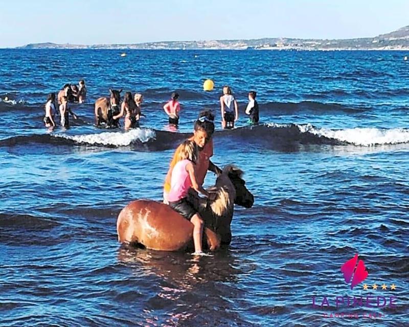 Camping La Pinv De image