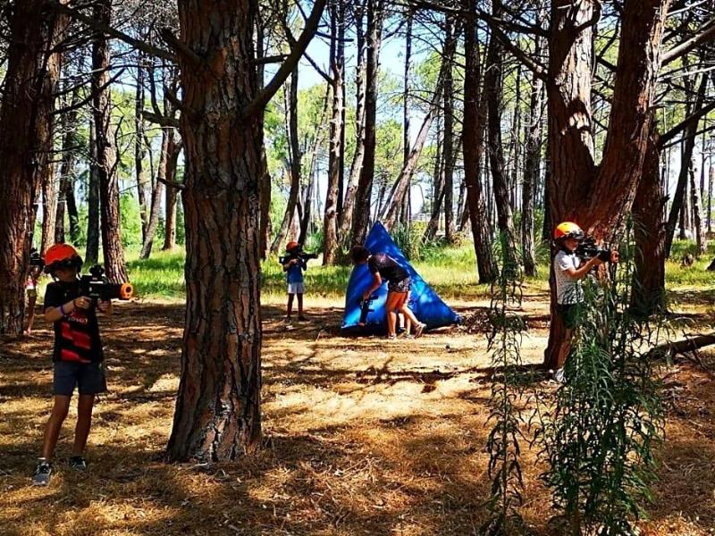 Camping La Pinv De image