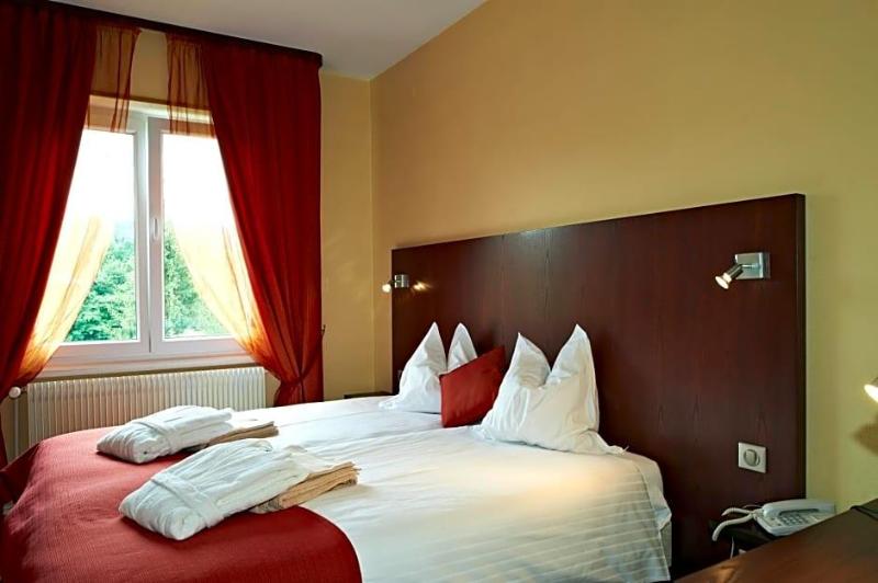 Hotel Restaurant Des Vosges image
