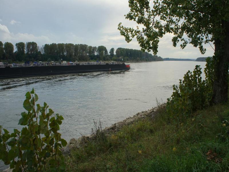 Alte Schreinerei Boutique Hotel image