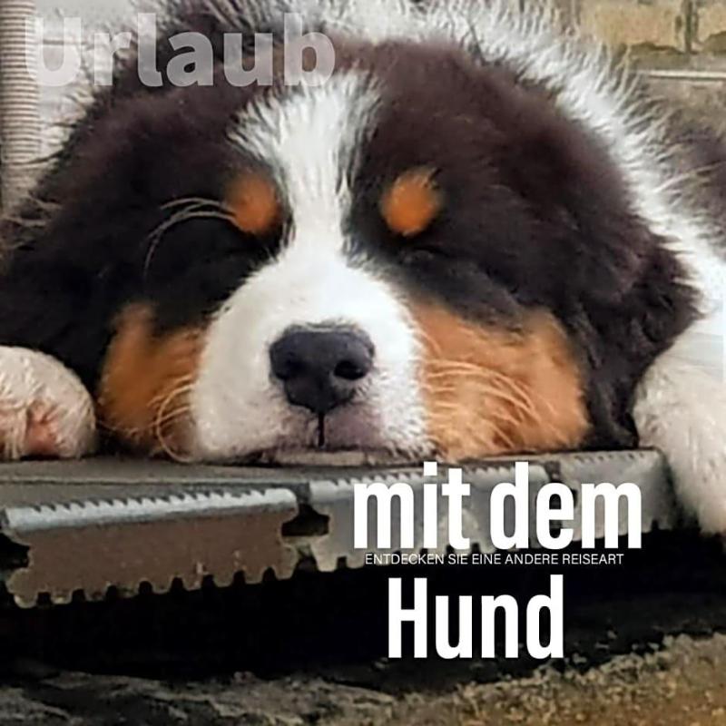 Der Seehof image