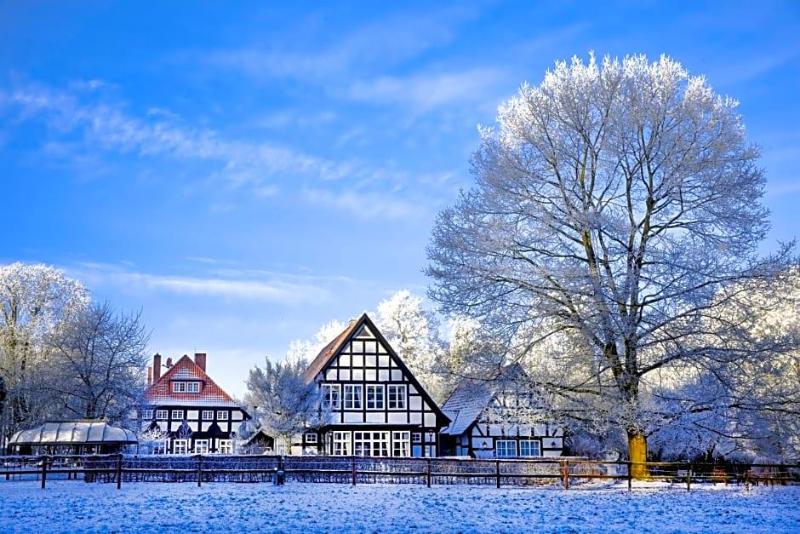 Forsthaus Heiligenberg image