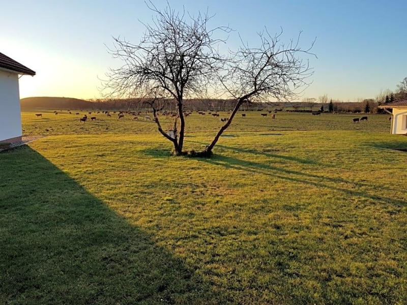 Landhotel Pathes Hof image